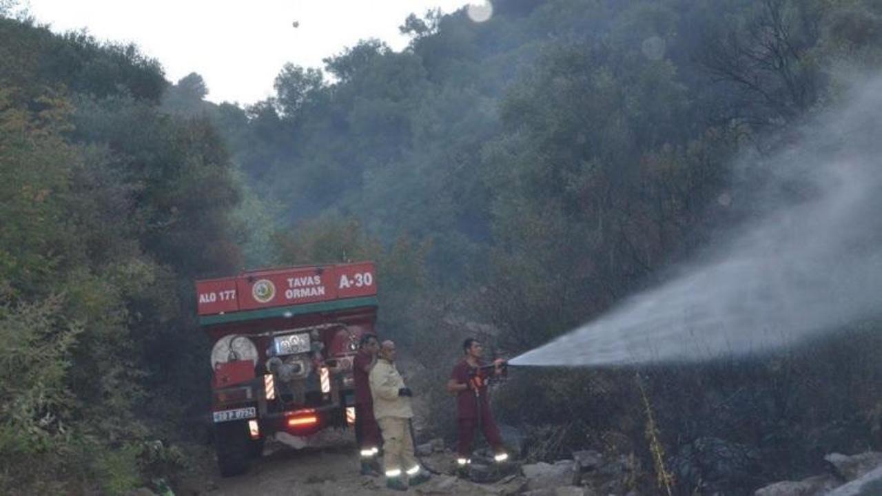 Denizli'de feci yangın! 5 hektarlık alan kül oldu