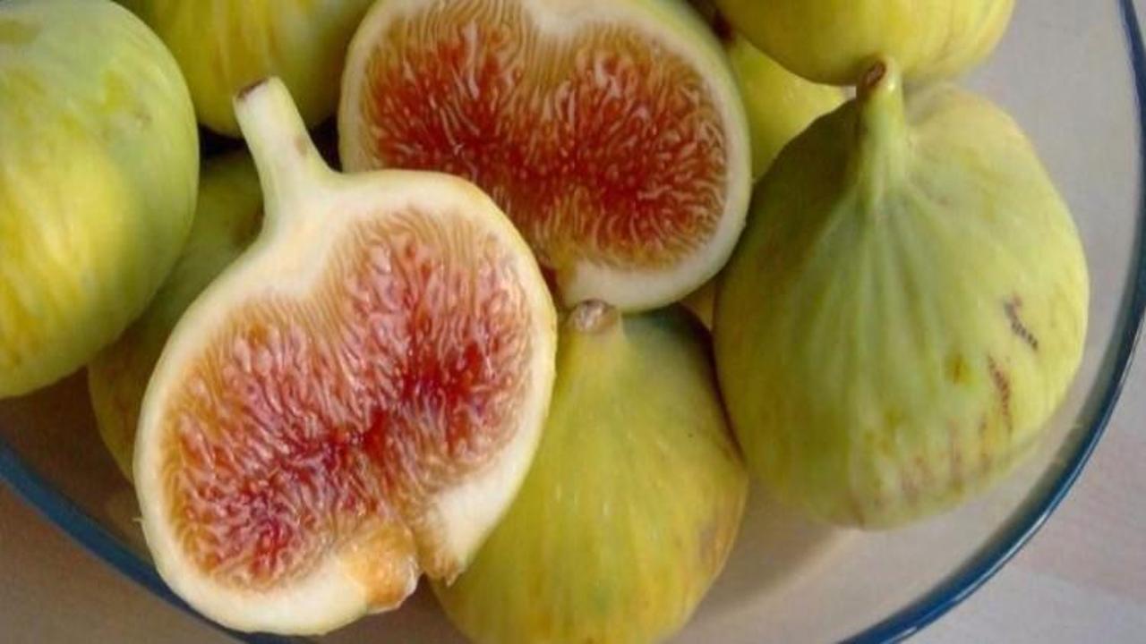 Günde 1 tane beyaz incir yerseniz...