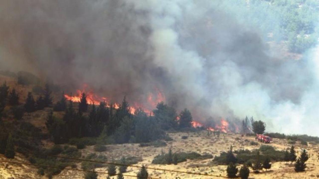 Ormanı PKK yakıyor