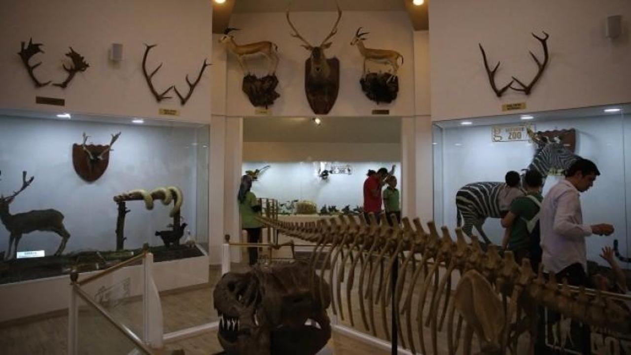 Türkiye'nin ilk 'Zooloji' müzesine ilgi büyük