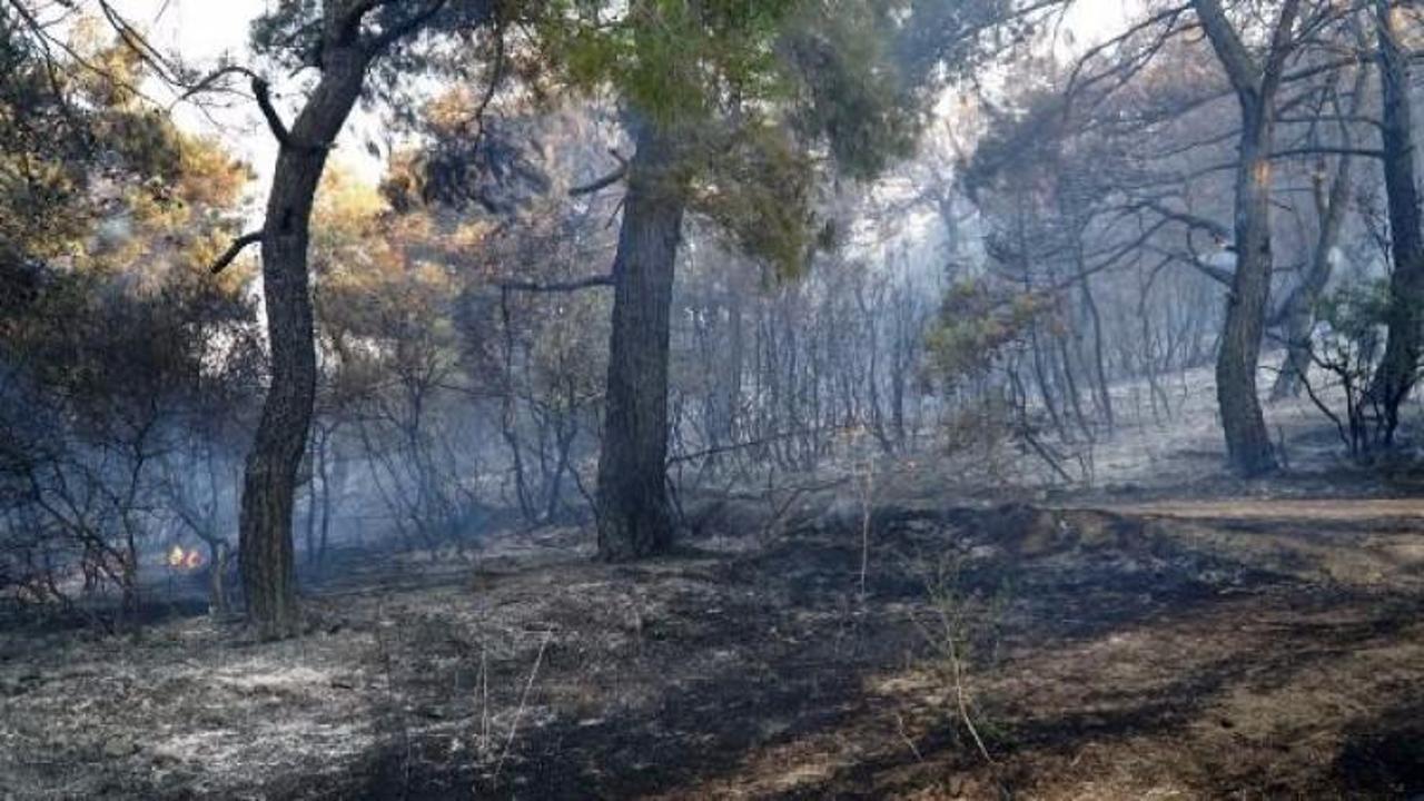 Keşan’daki orman yangını kontrol altına alındı