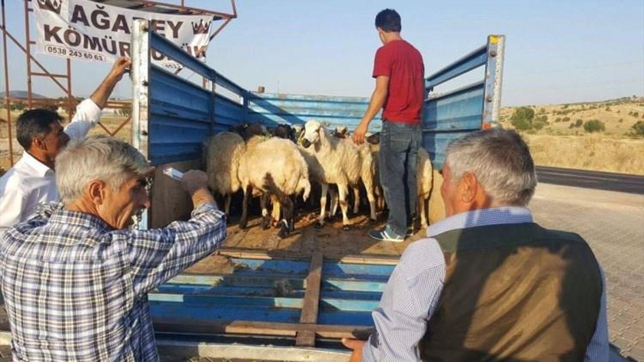 Ergani'de genç çiftçilere hibe desteği
