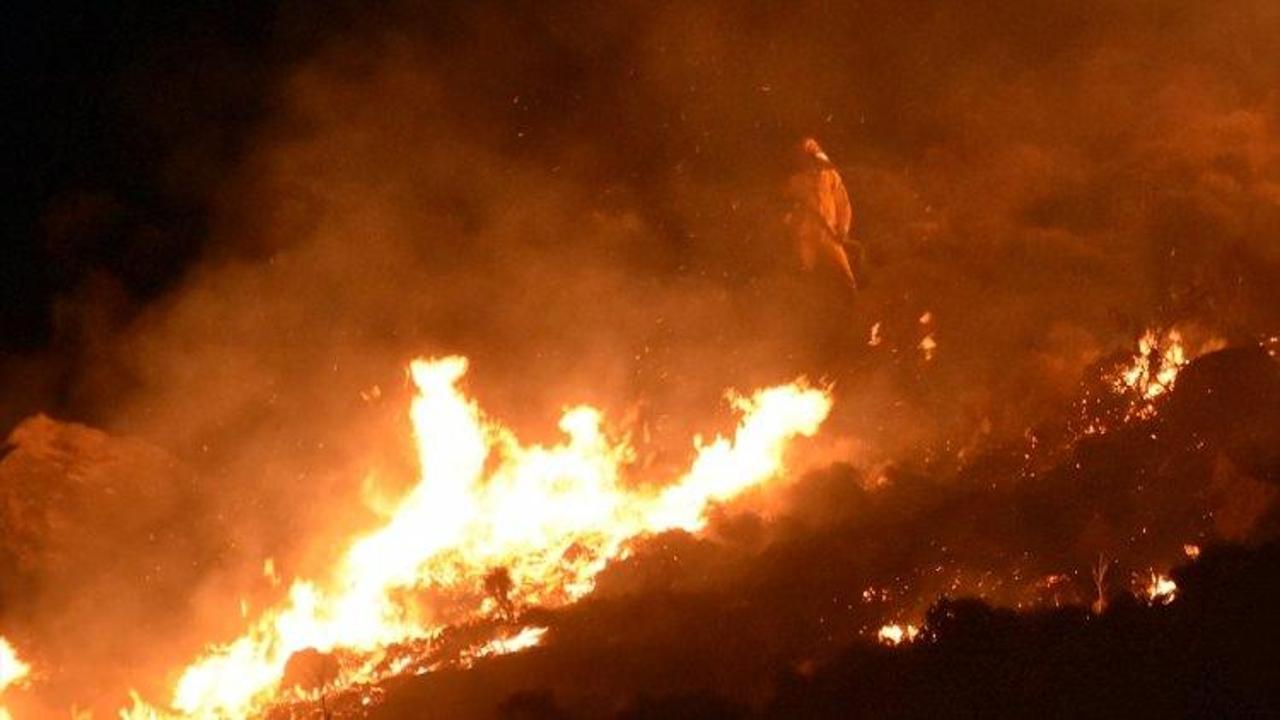 Bodrum'da maki yangını