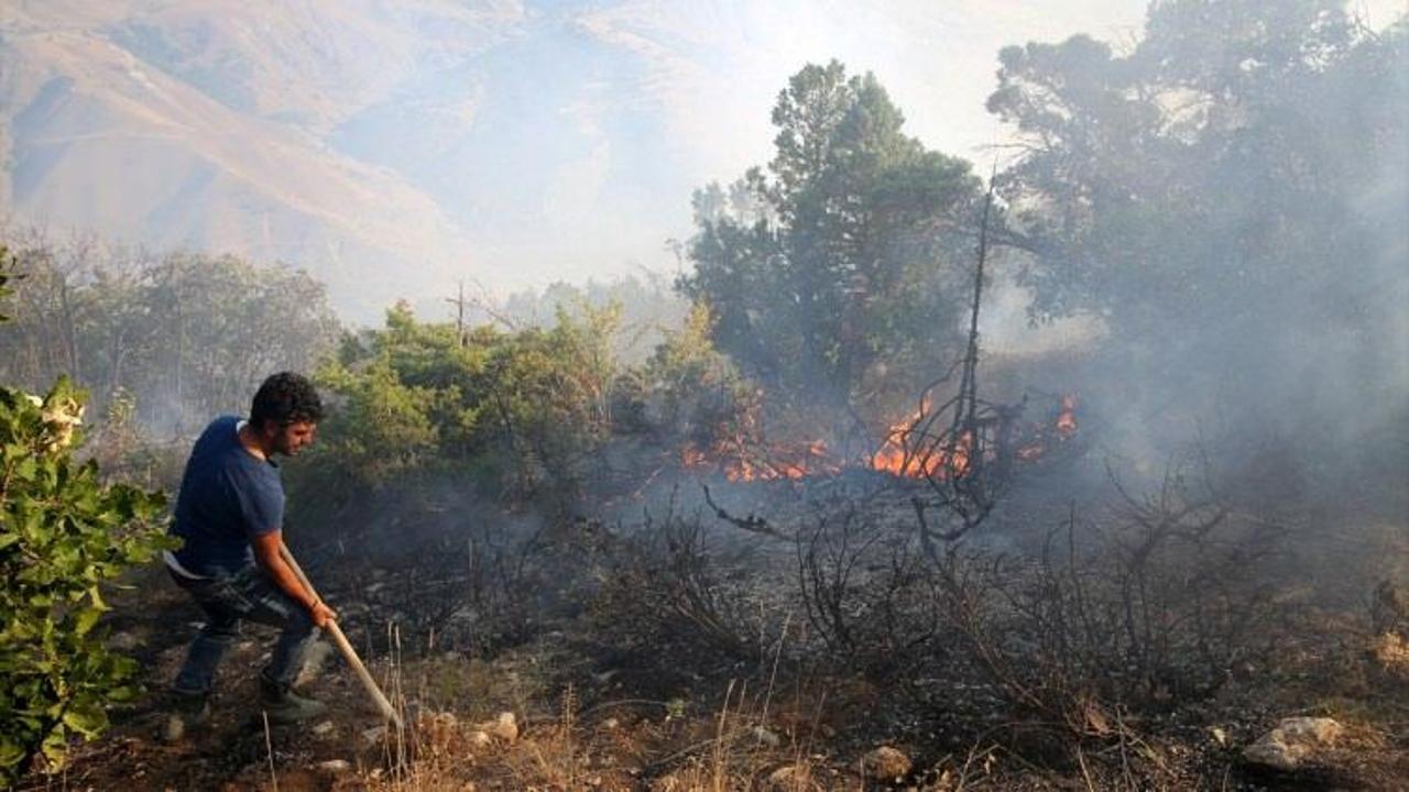 Erzincan'daki orman yangını