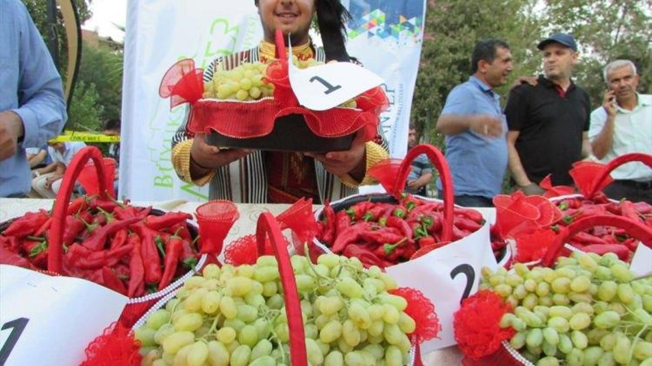 "İslahiye üzümü ve biberi"ne festival