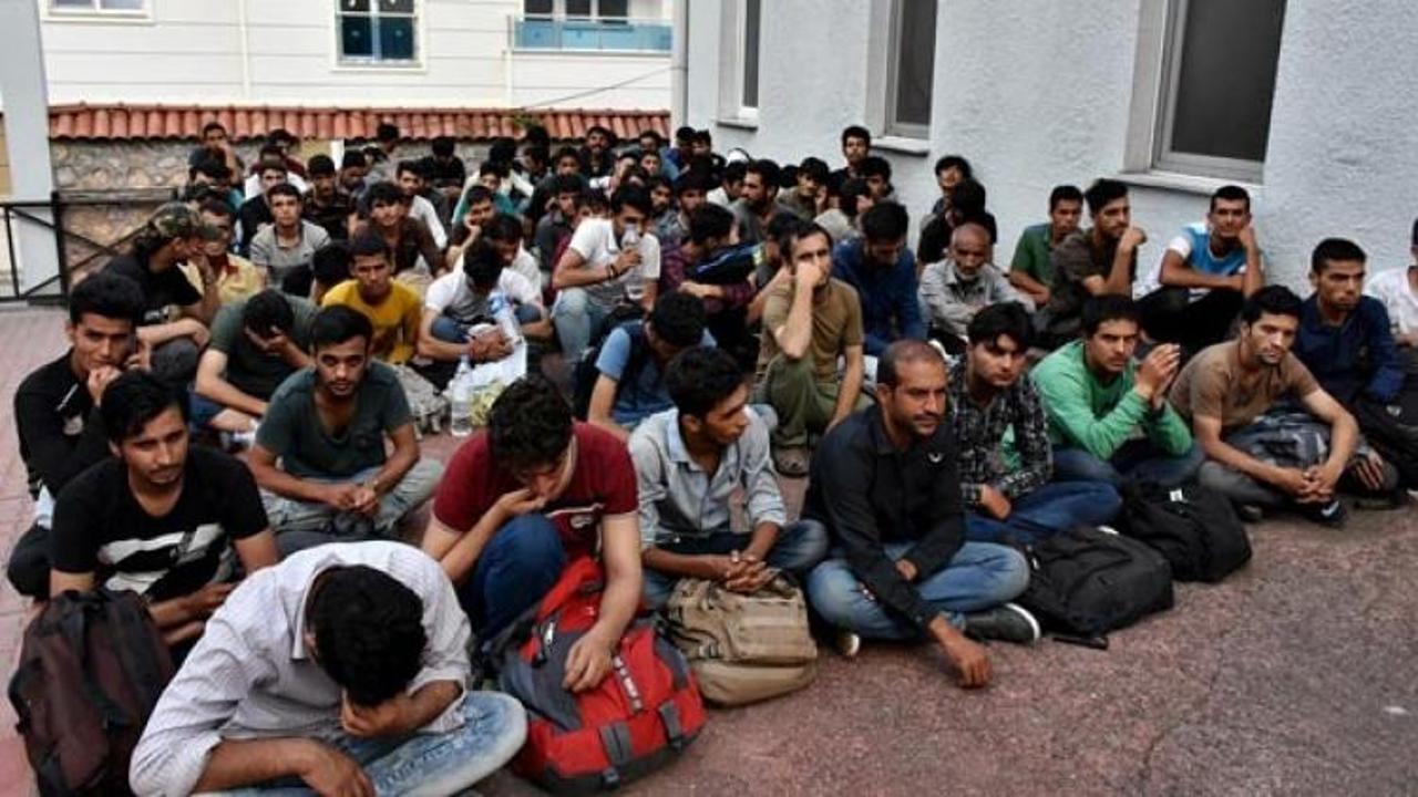 Kastamonu'da 137 kaçak göçmen yakalandı