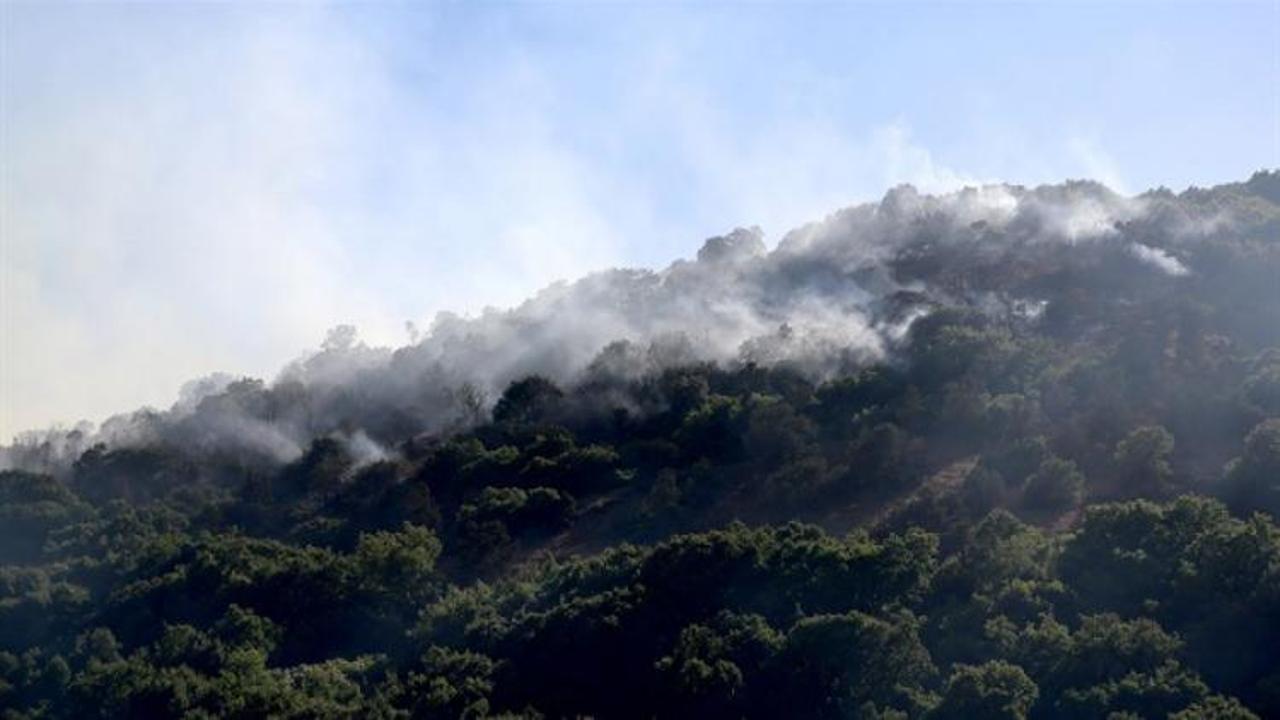 Erzincan'daki orman yangını