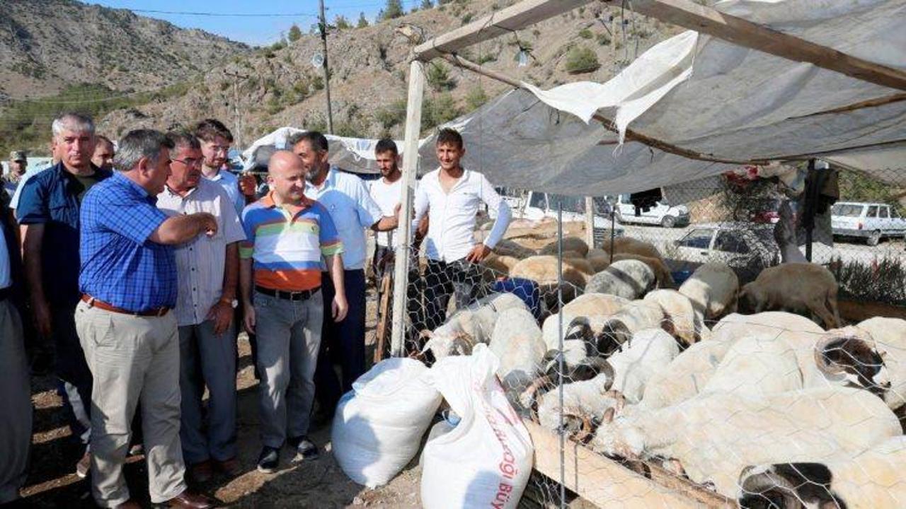 Vali Varol, hayvan pazarını ziyaret etti