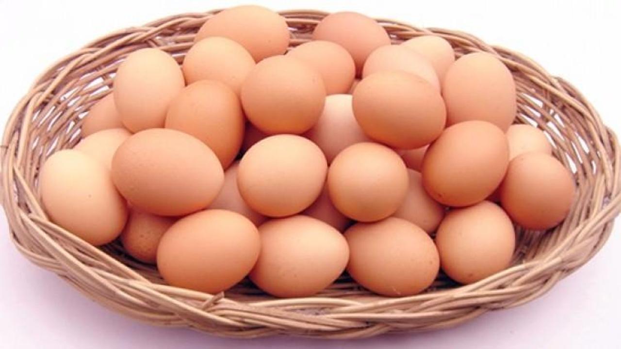 'Zehirli yumurta krizi siyasi kaynaklı' iddiası