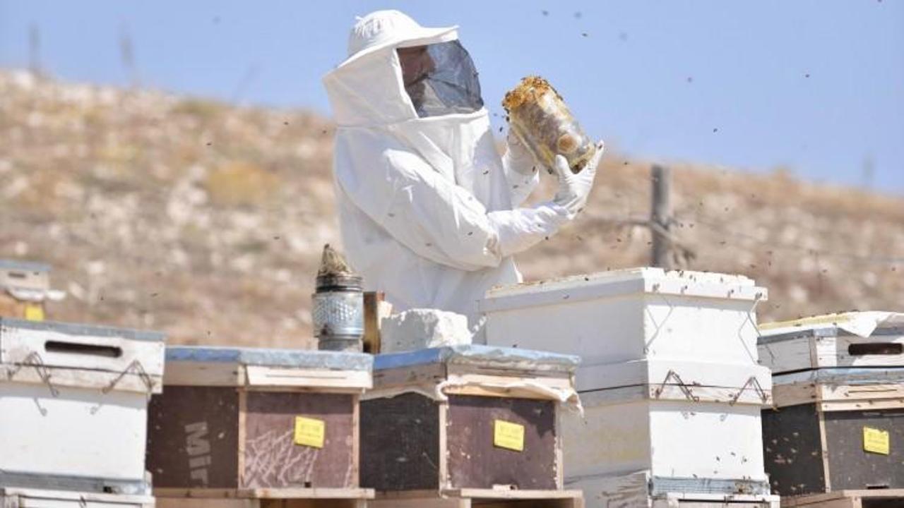 İlk kez denedi siparişlere yetişemedi