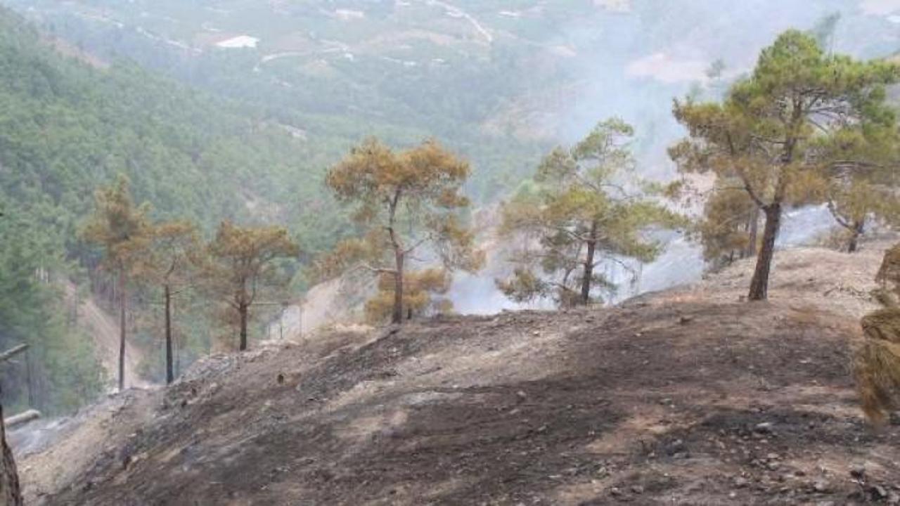 Mersin'de 19 dönüm orman yandı