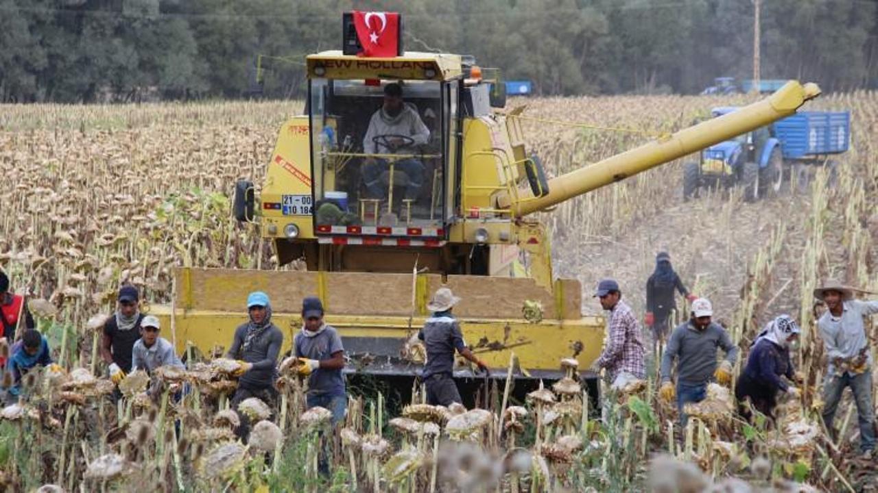 Yapamazsın dediler! Şimdi yılda 2 milyon kazanıyor