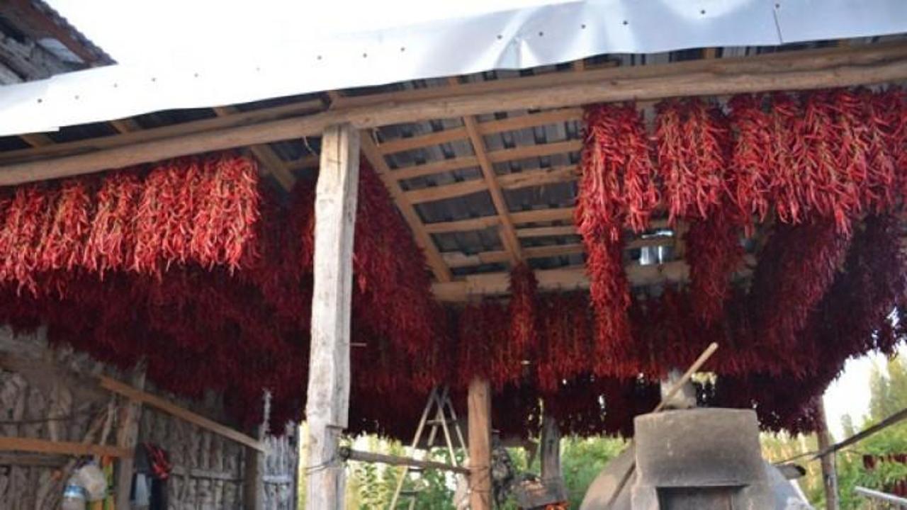 Bu köyde senede 100 ton pul biber üretiliyor
