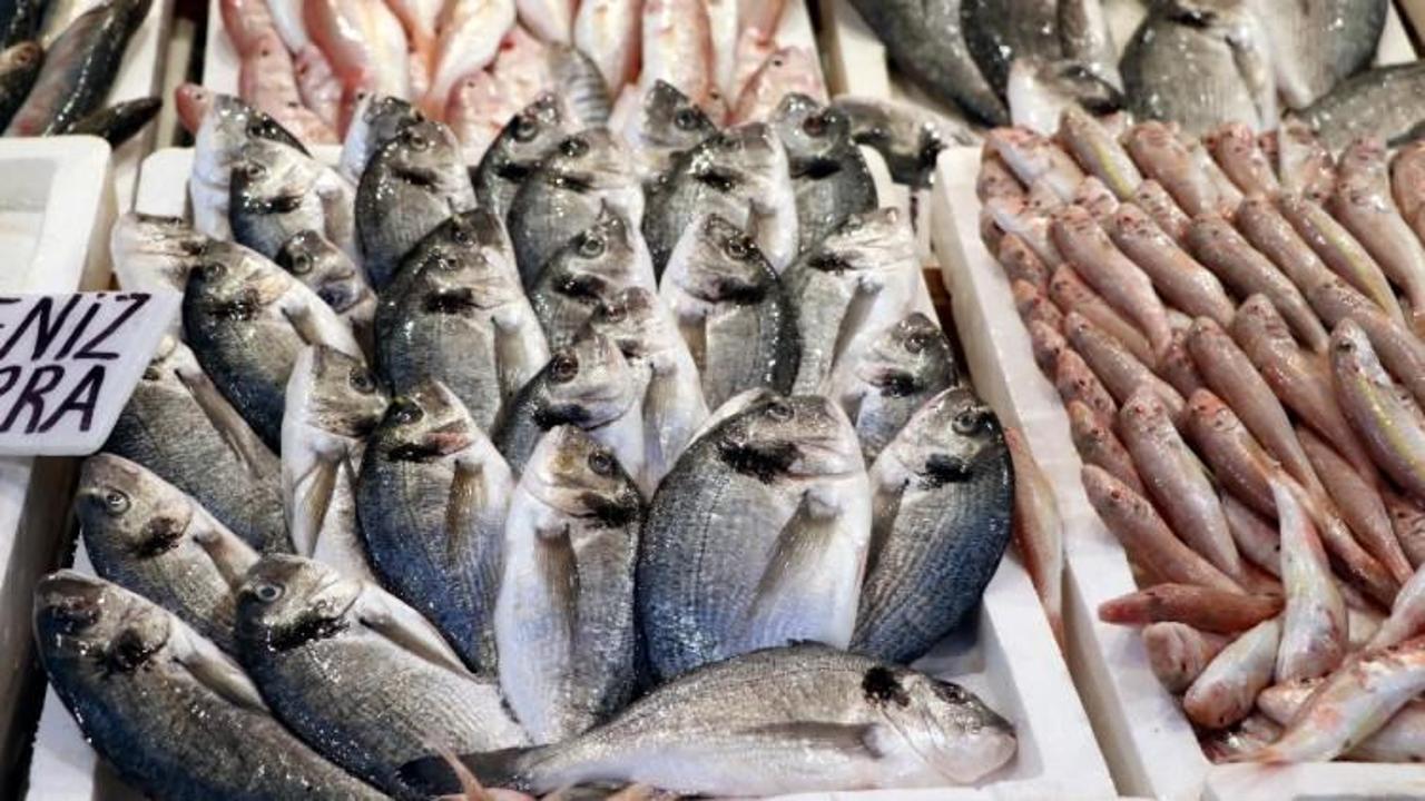 Balık fiyatlarında artış yok