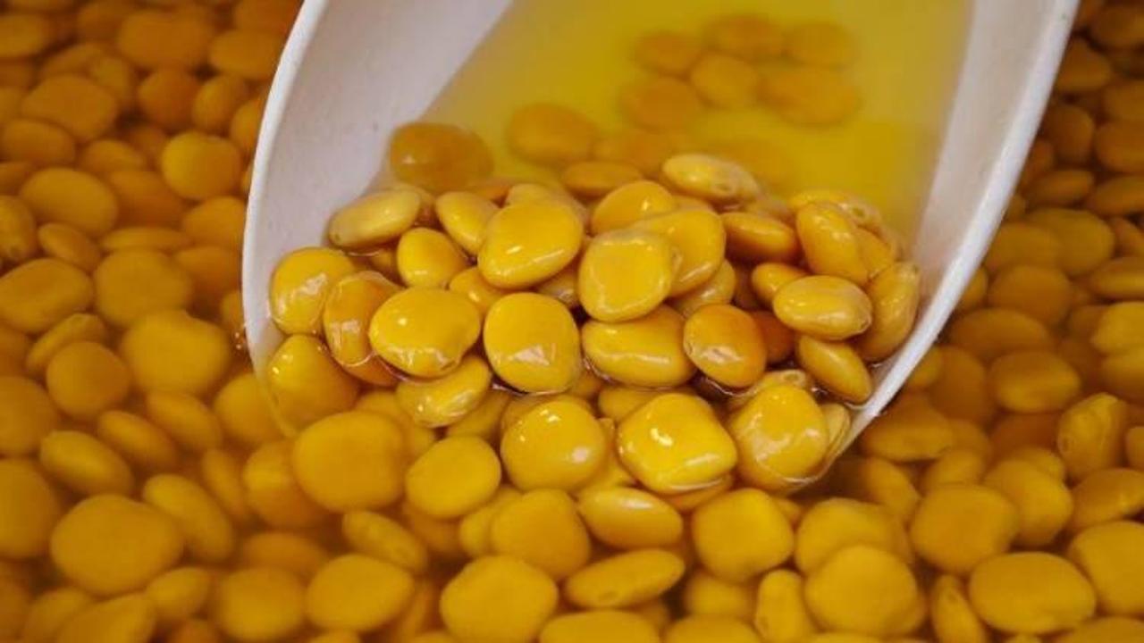 H&uuml;creleri yenileyen tirmis nedir? Tirmis (acı bakla) faydaları...