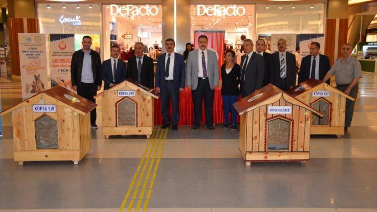 4 Ekim Dünya Hayvanları Koruma Günü