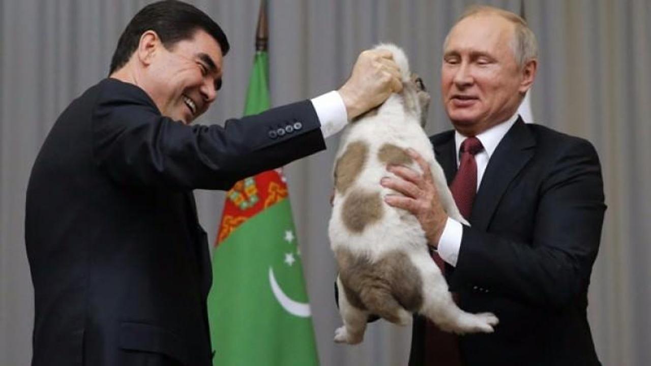 Putin'e çoban köpeği hediye edildi!