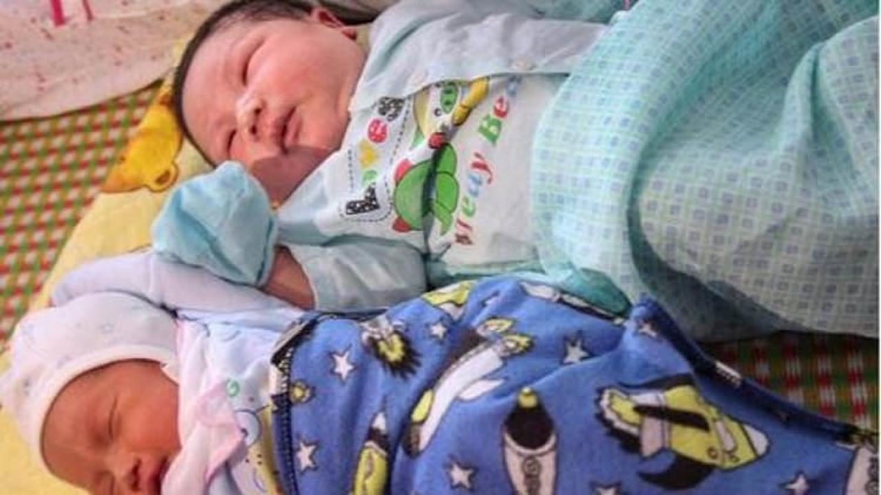 Dev bebek görenleri şaşkına çevirdi