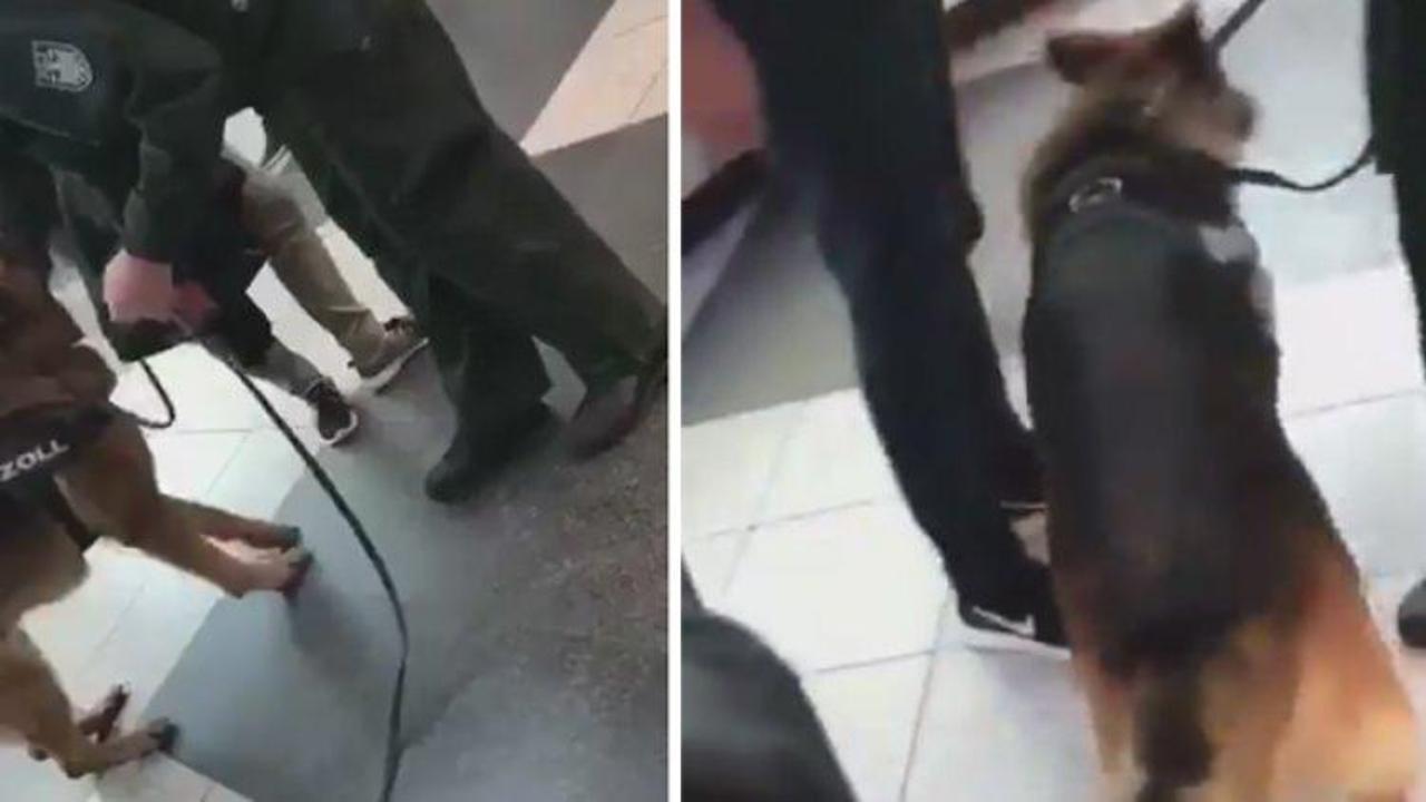 Almanya'ya inen T&uuml;rklere skandal uygulama!