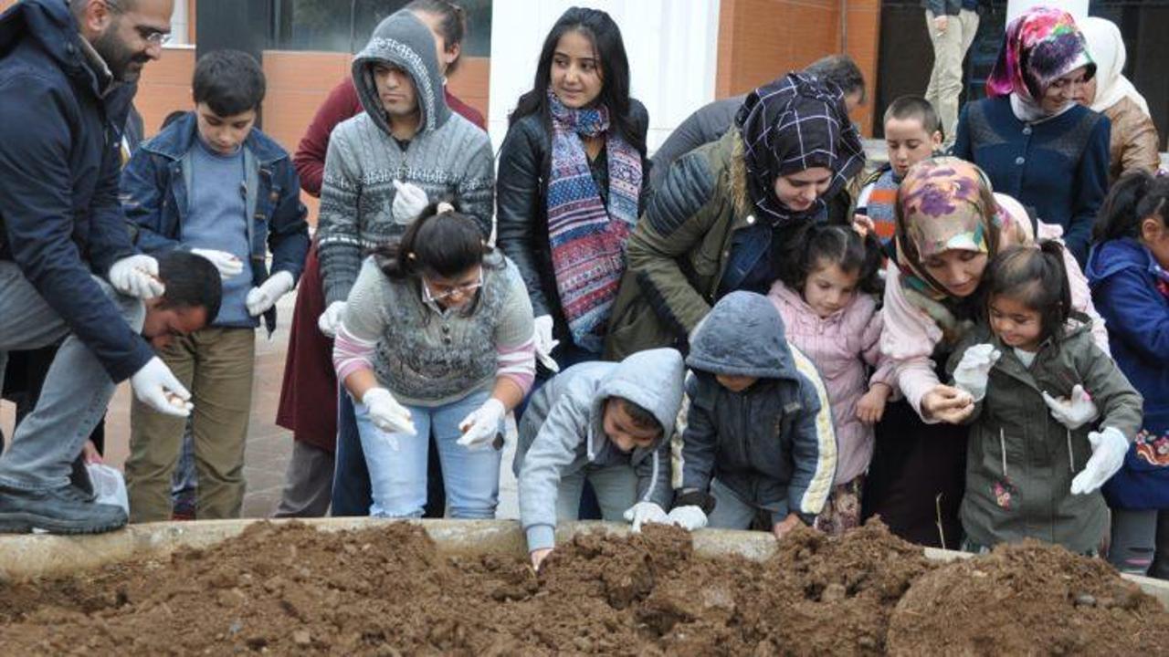 Öğrenciler lale soğanlarını toprakla buluşturdu