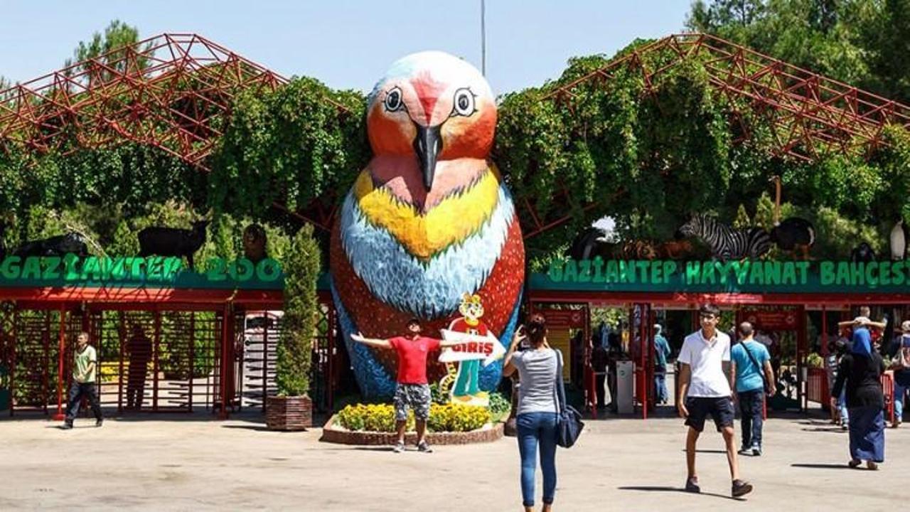 Gaziantep Hayvanat Bahçesi'ne 3 milyon ziyaretçi