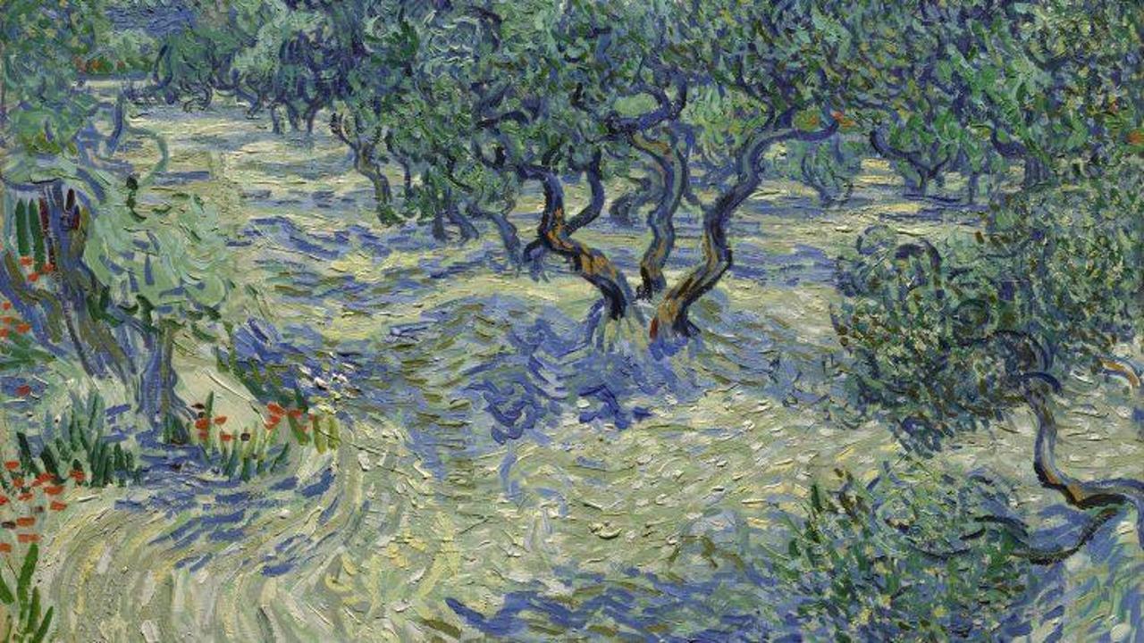 Van Gogh'un tablolarından birinde çekirge bulundu!