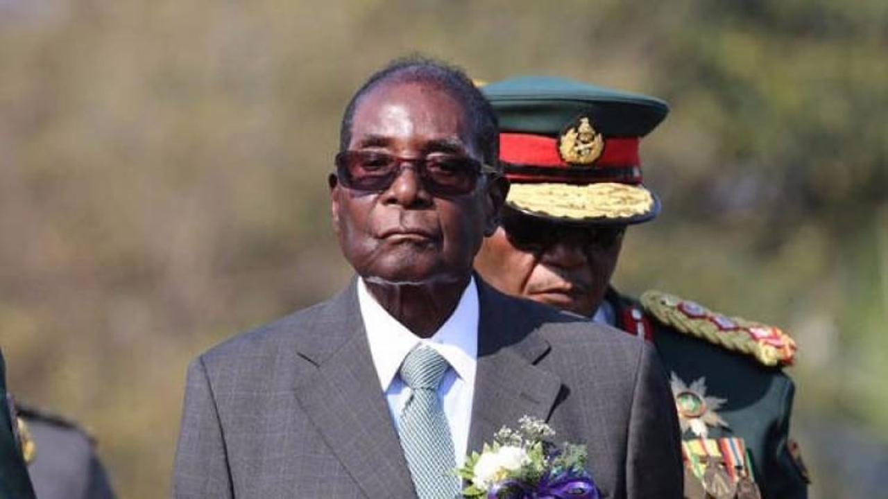 Zimbabve'de askeri müdahaleye destek yürüyüşü