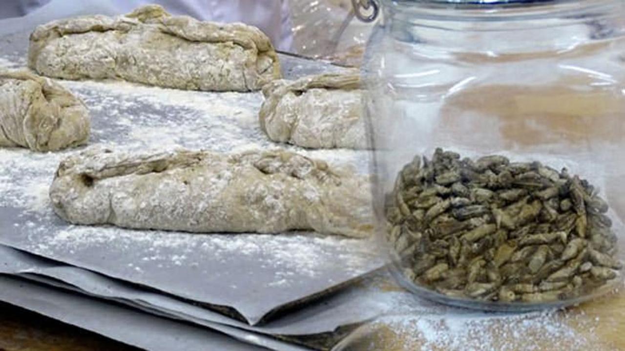Gıda şirketi açıkladı, böcekli ekmek satılacak