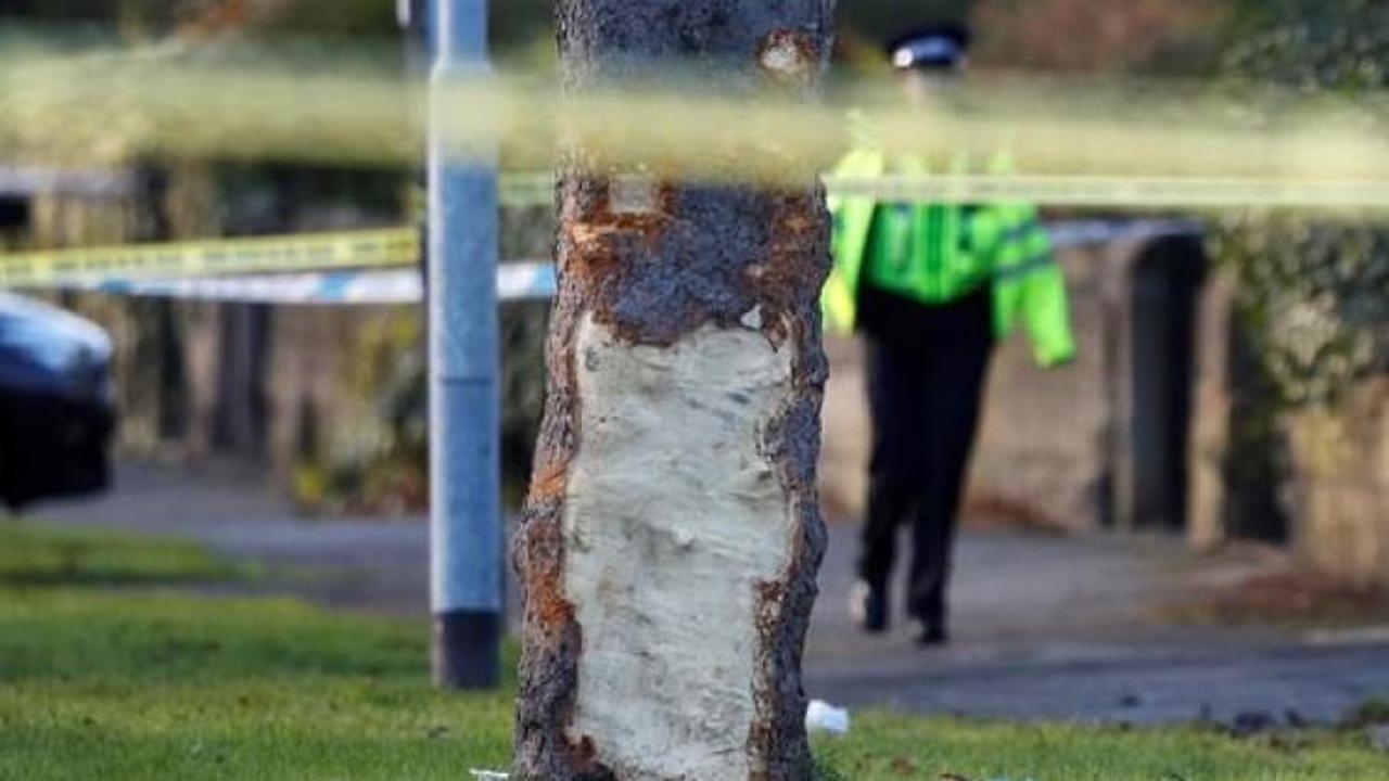 İngiltere'de katliam gibi olay: 3'ü çocuk 5 ölü