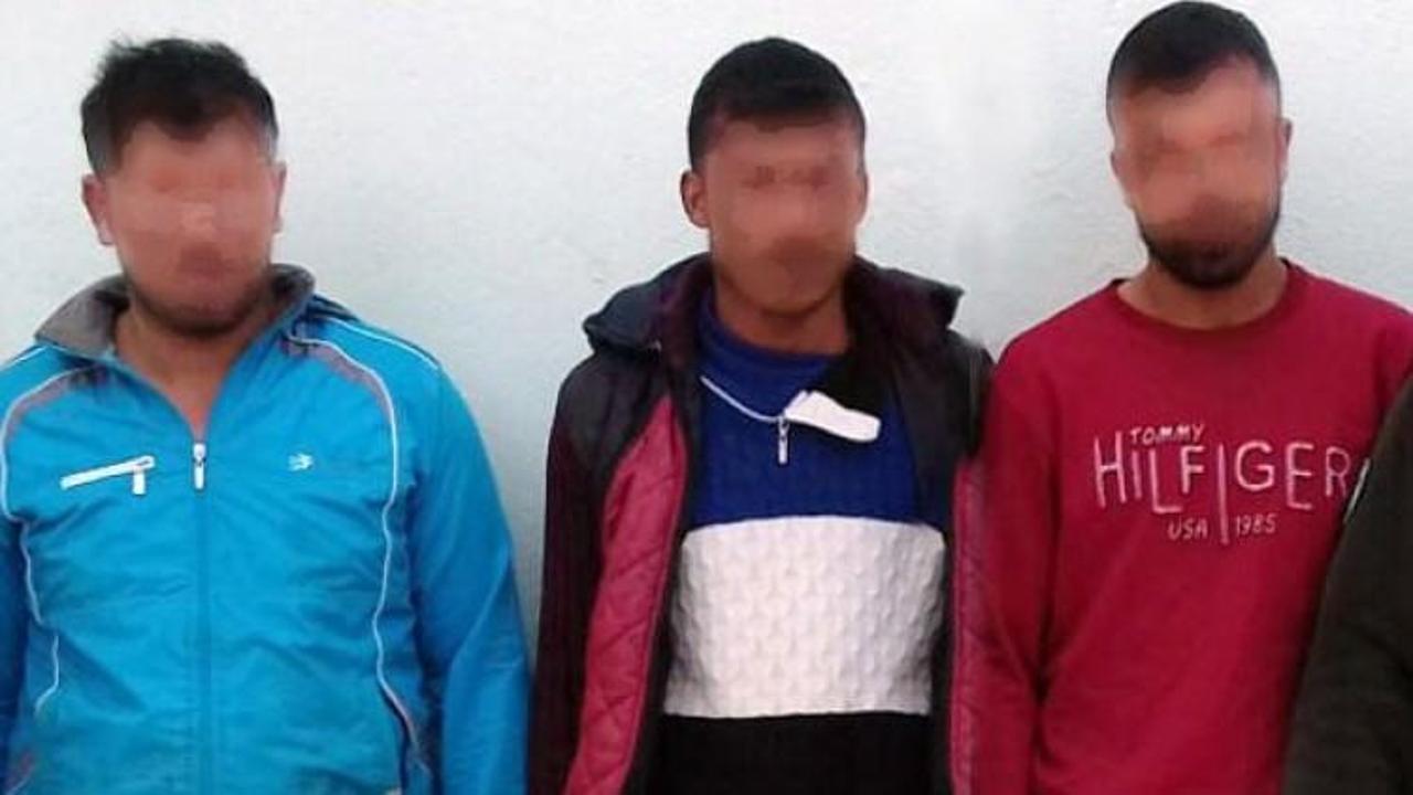 Jandarma kafa koparan canileri yakaladı!