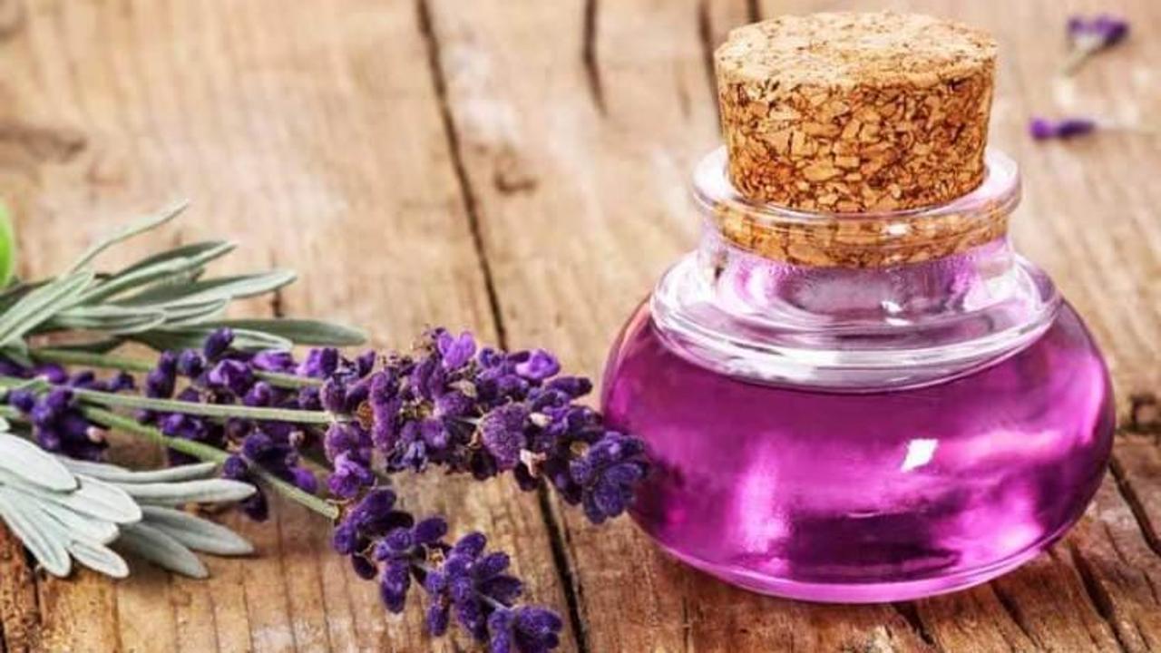 Lavanta yağı nasıl yapılır? 