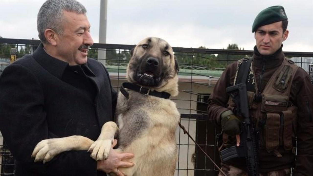 Emniyette 'Kangal' ve 'Akbaş' d&ouml;nemi