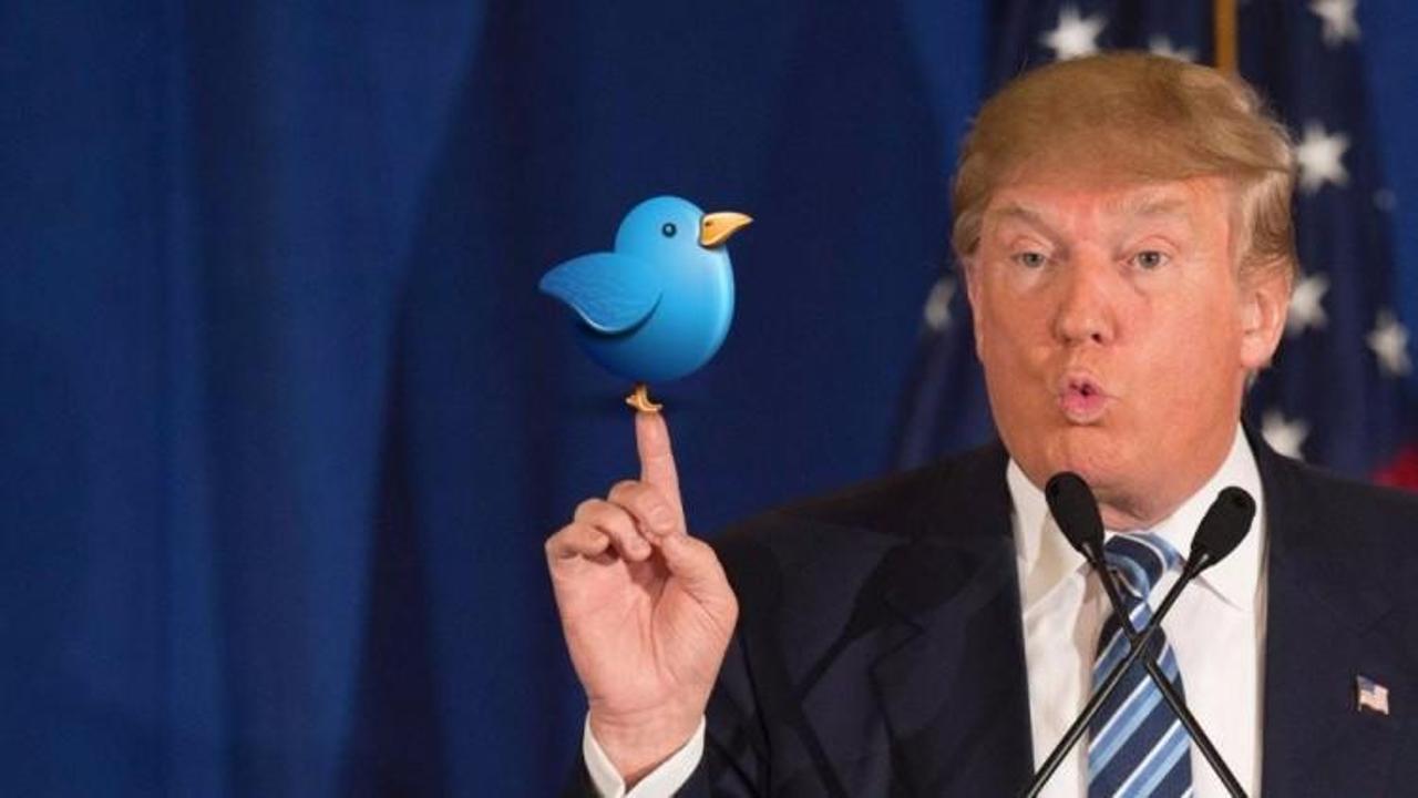 Irkçı önderden Trump'a yardım çağrısı