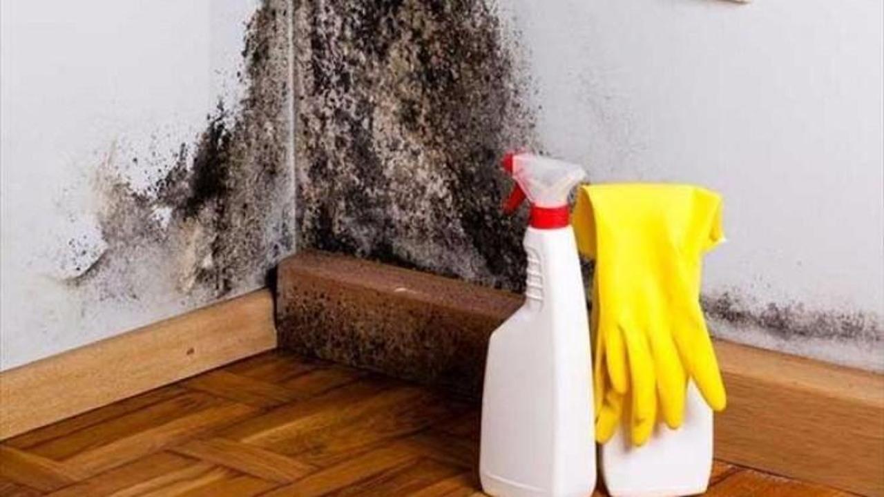 Rutubet kokusu nasıl geçer? 