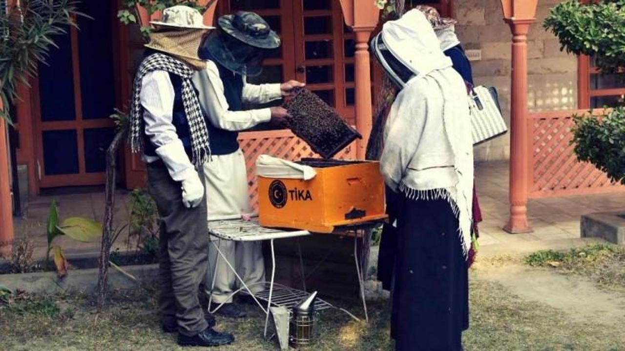 TİKA'dan Pakistan'da arıcılara destek