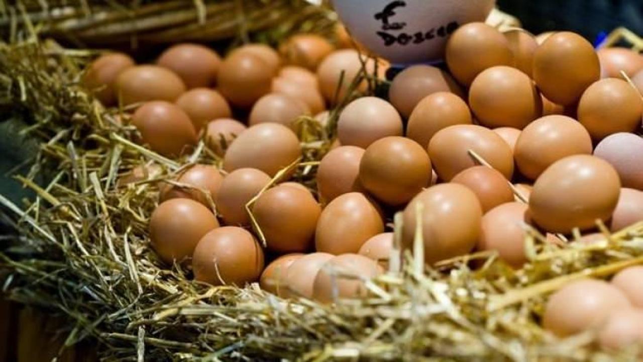 Yumurta fiyatları rekor kırdı!