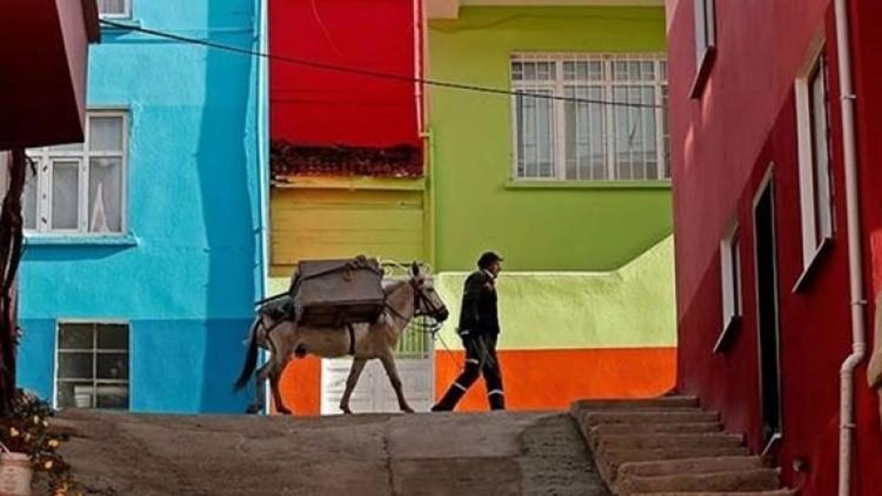 Dar sokakların &ccedil;&ouml;p&ccedil;&uuml;s&uuml; Nazlı ile Beyaz'ın dostluğu