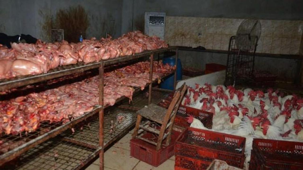 Baskın yapan polisler şok oldu! Rezalet g&ouml;r&uuml;nt&uuml;ler