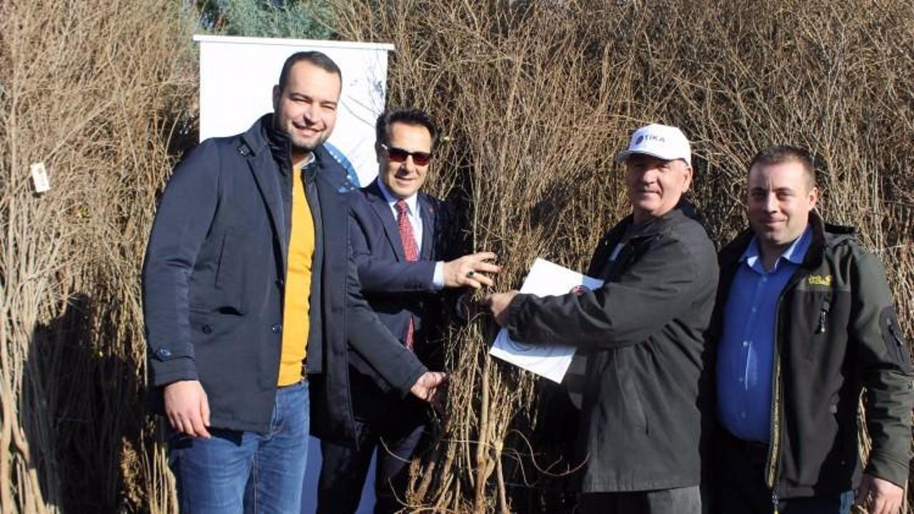 TİKA Makedonya meyveciliğini geliştirme projesi