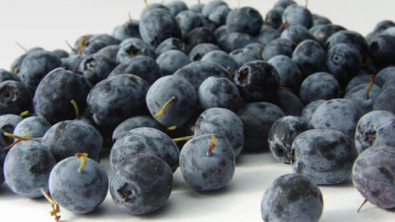 Acai &ccedil;ileğinin faydaları nelerdir?