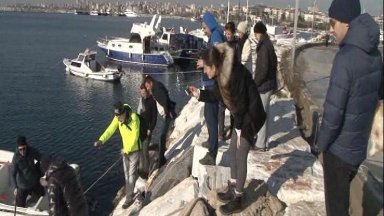Maltepe'de kıyıya vurunca balıkçılar şoke oldu!