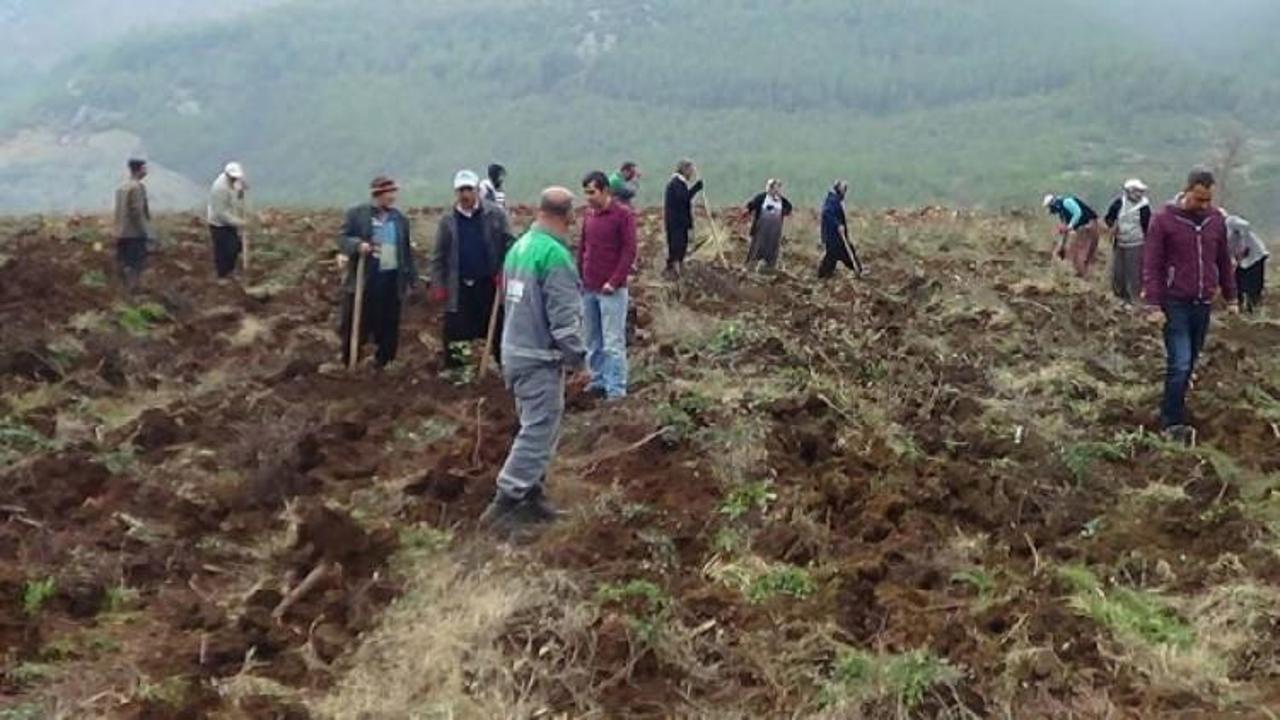 Yıllık 600 bin euro gelir elde edilecek