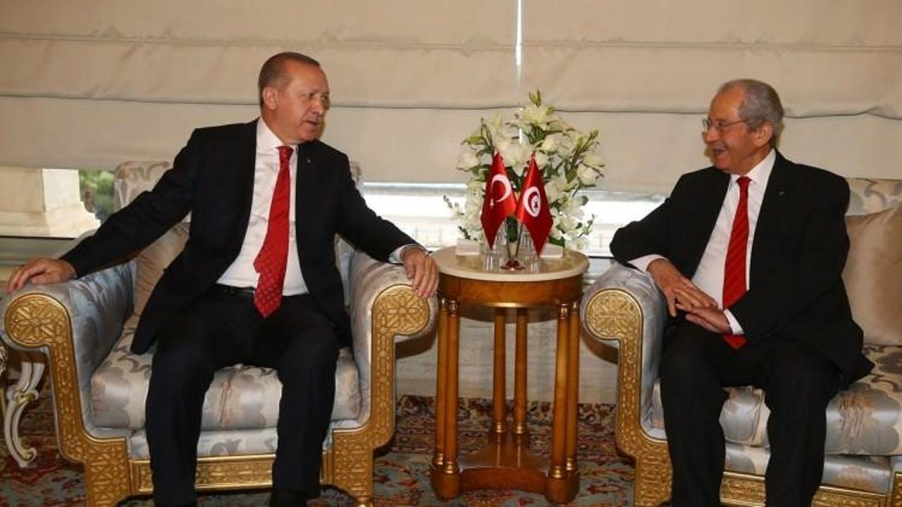 Cumhurbaşkanı Erdoğan en-Nasır'ı kabul etti