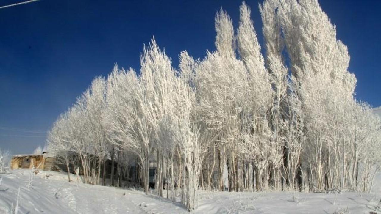 &Ccedil;aldıran -35 dereceyle dondu!