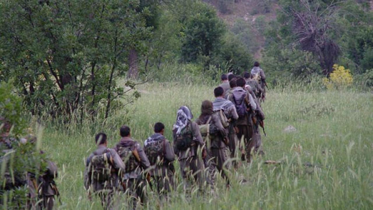 PKK'nın bölge sorumlusu etkisiz hale getirildi