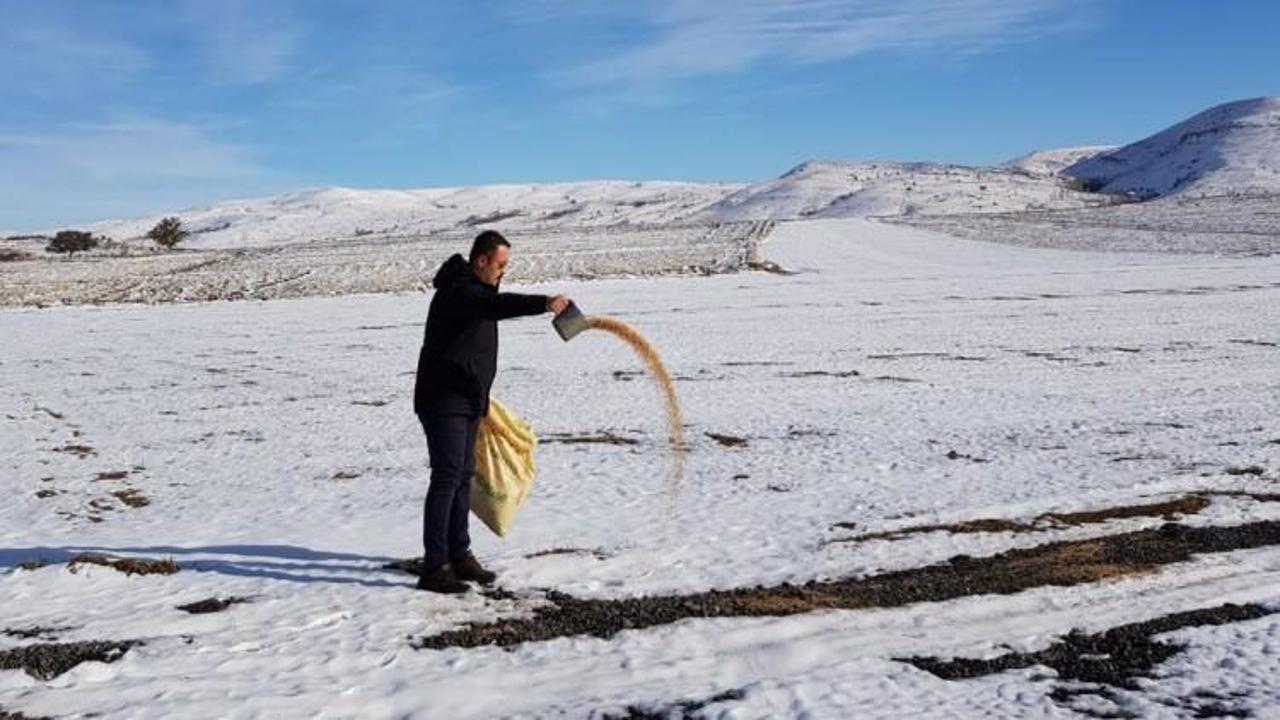 A&ccedil; kalan kuşlar i&ccedil;in 85 kilometre yol gitti
