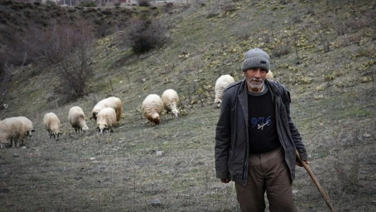 Dağdaki &ccedil;obanın Cumhurbaşkanı Erdoğan sevgisi