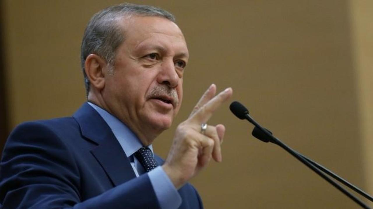 Erdoğan'dan flaş 'Zeytin Dalı' harekatı açıklaması