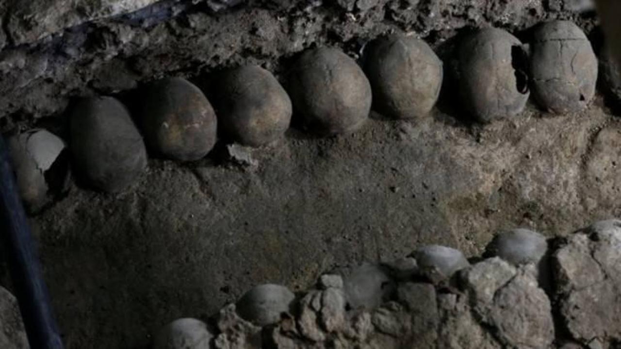 Toprağa gömülü 33 kafatası bulundu