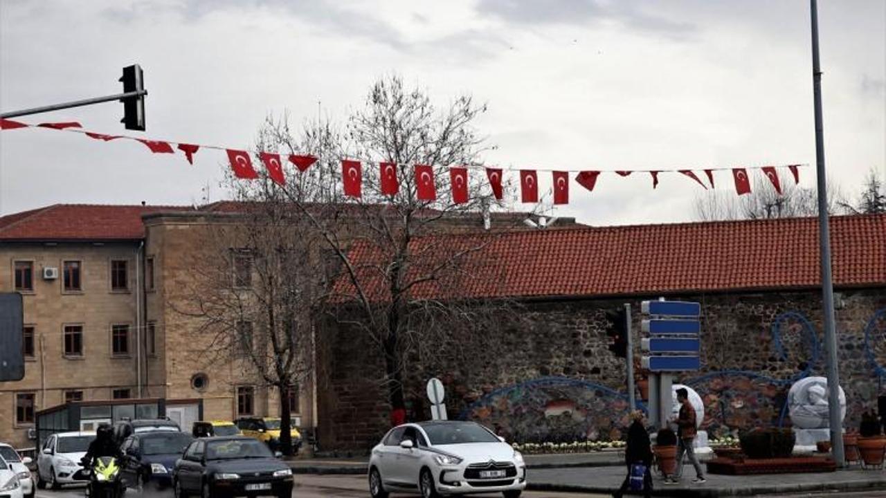 "Zeytin Dalı Harekatı"na Türk bayraklı destek